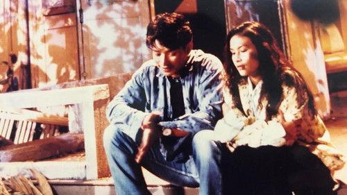 No Surrender, No Matter What filmas žiurėti online