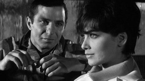 A Rage to Live filmas žiurėti online