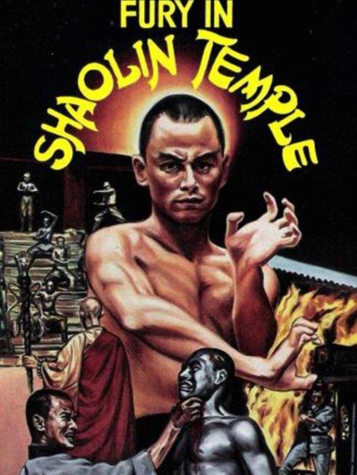 Fury in Shaolin Temple filmas online