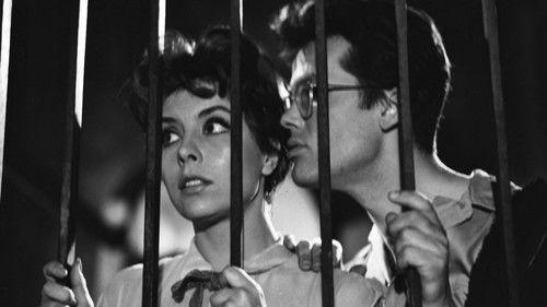 The Eighth Day of the Week filmas žiurėti online