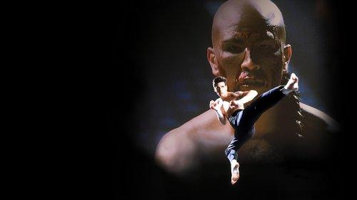 Kickboxer 4: The Aggressor filmas žiurėti online