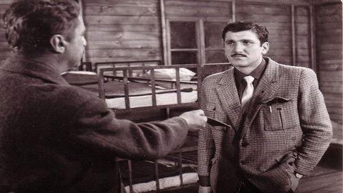 Uzavreli grad filmas žiurėti online