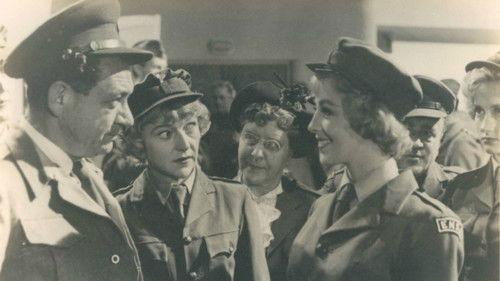 Desert Mice filmas žiurėti online