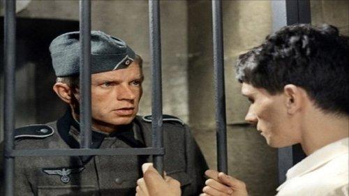 Franciscan of Bourges filmas žiurėti online