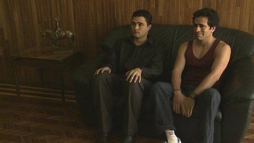 The Mystery of the Almond Trees filmas žiurėti online