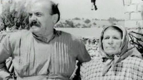 They ere all... Fools! filmas žiurėti online