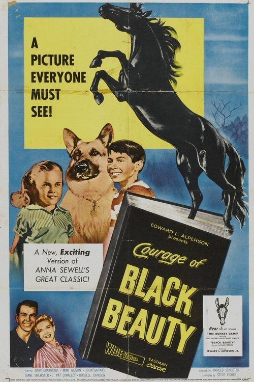 Courage of Black Beauty filmas online