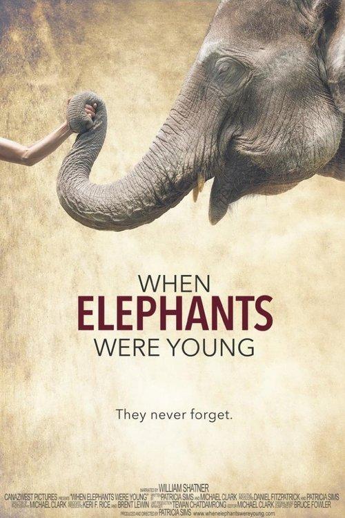 When Elephants Were Young filmas online