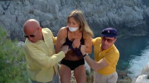 Taste of Excitement filmas žiurėti online