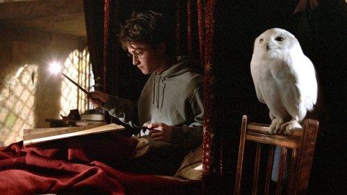 Haris Poteris ir Azkabano kalinys filmas žiurėti online