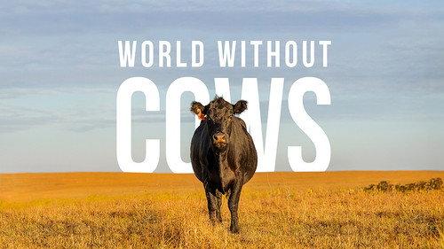 World Without Cows filmas žiurėti online