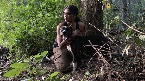 Trip filmas žiurėti online