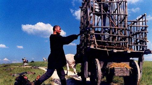 Knights of the Quest filmas žiurėti online