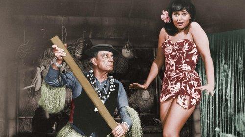 How to Stuff a Wild Bikini filmas žiurėti online