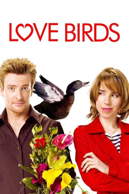 Love Birds filmas online