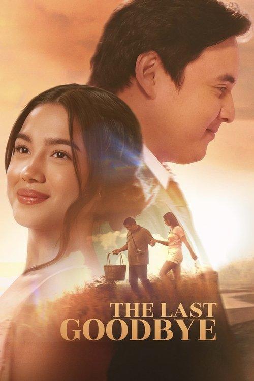 The Last Goodbye filmas online