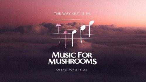 Music for Mushrooms filmas žiurėti online