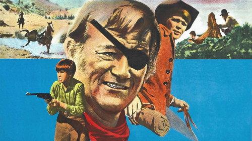 True Grit filmas žiurėti online