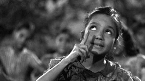 Boot Polish filmas žiurėti online