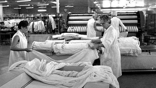 The Cats filmas žiurėti online