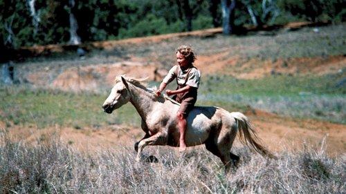 Ride a Wild Pony filmas žiurėti online