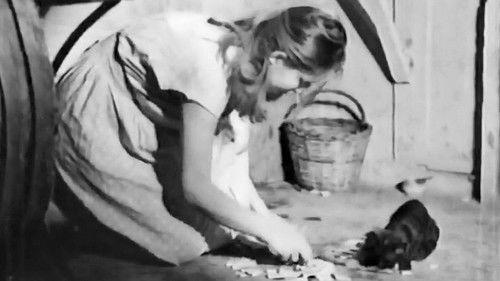 I Sinned for My Child filmas žiurėti online