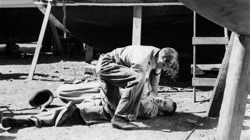 Vi Masthuggspojkar filmas žiurėti online