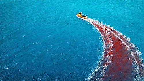 Pavojingi gyviai filmas žiurėti online