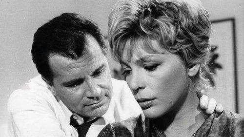 A Sentimental Attempt filmas žiurėti online