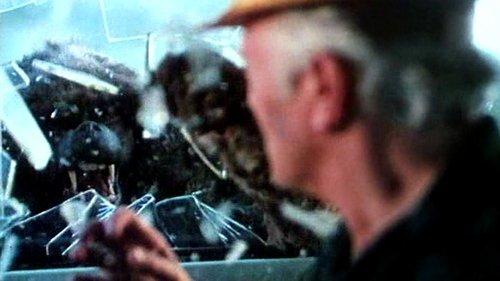 In the Shadow of Kilimanjaro filmas žiurėti online