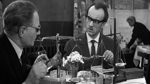 Gangsters and Philanthropists filmas žiurėti online