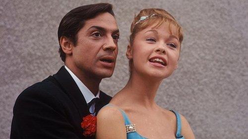 The New Cinderella filmas žiurėti online