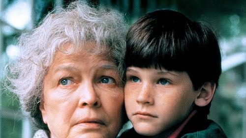 Mrs. Lambert Remembers Love filmas žiurėti online