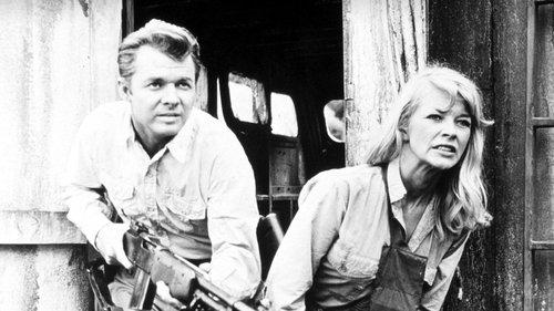 Battle at Bloody Beach filmas žiurėti online