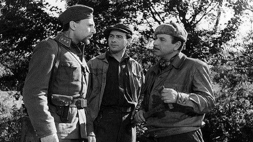 Kapitán Dabač filmas žiurėti online