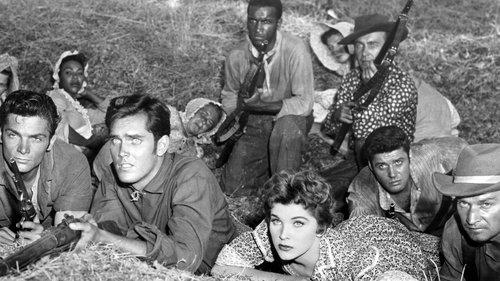 Seven Angry Men filmas žiurėti online