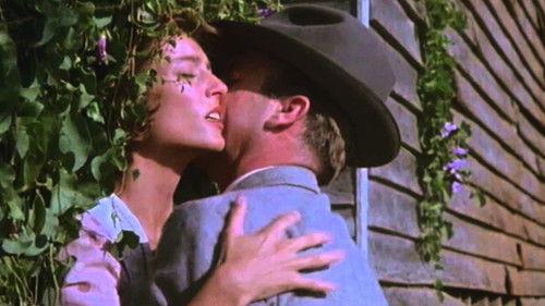 The Good Wife filmas žiurėti online