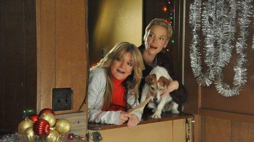 Holiday Road Trip filmas žiurėti online