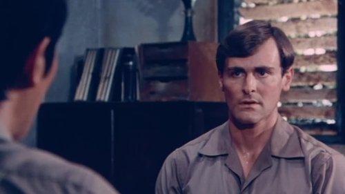 The Highest Honour filmas žiurėti online