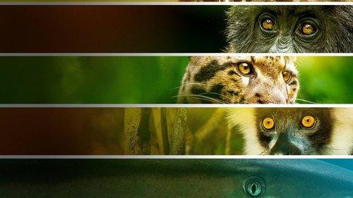 Endangered filmas žiurėti online