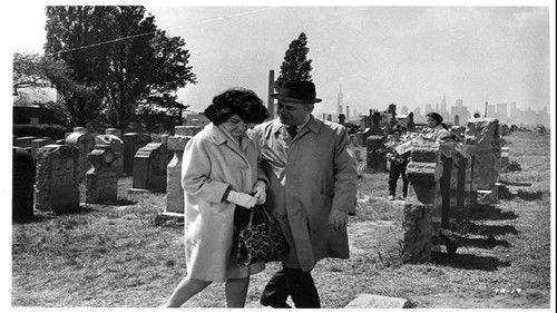 Trilogy filmas žiurėti online