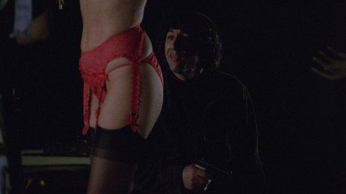 An Ideal Adventure filmas žiurėti online