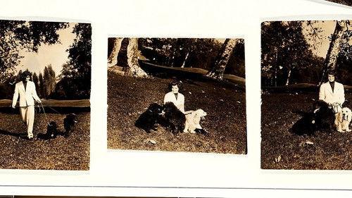 Call Me Kate filmas žiurėti online