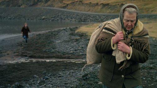 Cold Light filmas žiurėti online