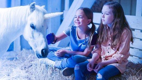 Wish Upon a Unicorn filmas žiurėti online