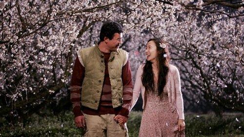 You Are My Sunshine filmas žiurėti online