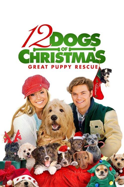 12 Dogs of Christmas: Great Puppy Rescue filmas online