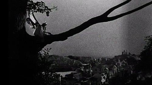 Enchantment filmas žiurėti online