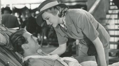 Safari filmas žiurėti online