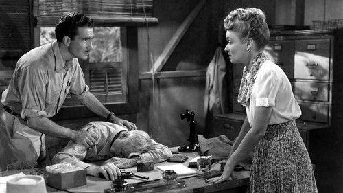 Law of the Tropics filmas žiurėti online